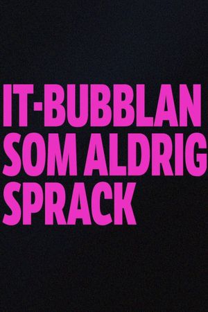 IT-bubblan som aldrig sprack's poster
