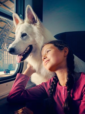The Dog Who Travelled by Train's poster