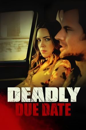 Deadly Due Date's poster