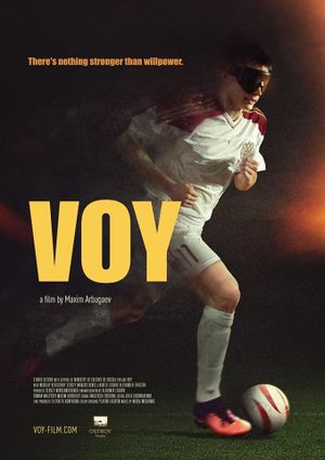 Voy's poster image