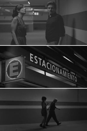 El estacionamiento's poster