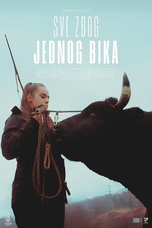 About a Bull's poster