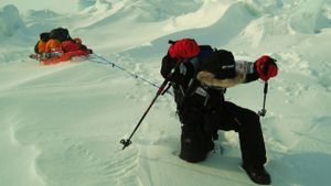 Beyond the Arctic's poster