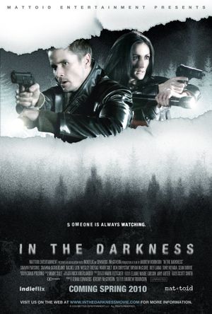 In the Darkness's poster image