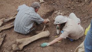 Perm Antiquities. The Elephant of Okhansk's poster