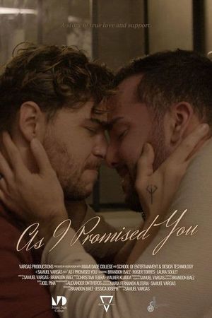 As I Promised You's poster