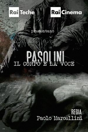 Pasolini - Il corpo e la voce's poster