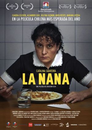 The Maid's poster