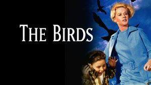 The Birds's poster
