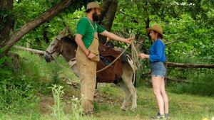 My Donkey, My Lover & I's poster