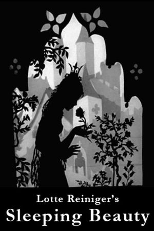 The Sleeping Beauty's poster