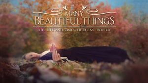 Many Beautiful Things's poster