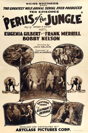 Perils of the Jungle's poster