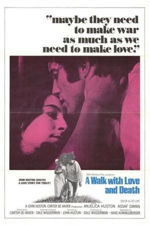 A Walk with Love and Death's poster