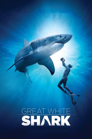 Great White Shark's poster