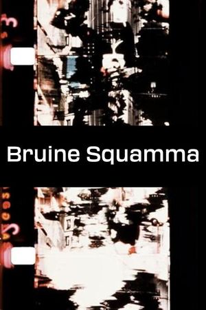 Bruine Squamma's poster