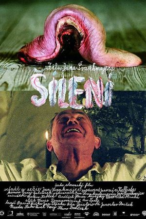 Lunacy's poster
