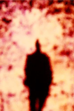 A Densa Nuve, o Seio's poster
