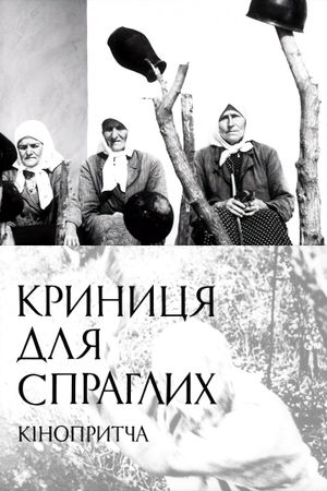 Krynytsya dlya sprahlykh's poster