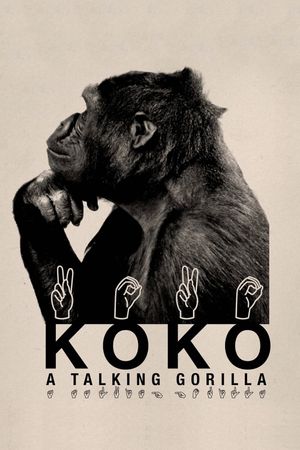 Koko: A Talking Gorilla's poster