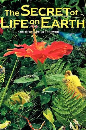 The Secret of Life on Earth's poster