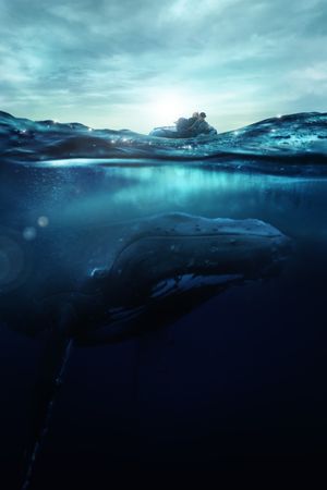 Fathom's poster