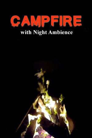 Campfire with Night Ambience's poster