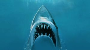 Jaws's poster