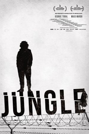 Jungle's poster