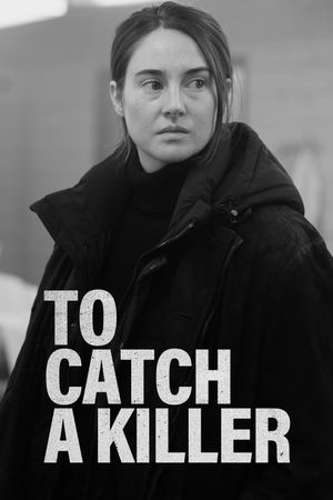 To Catch a Killer's poster