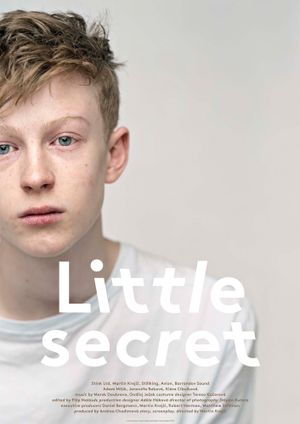 Little Secret's poster