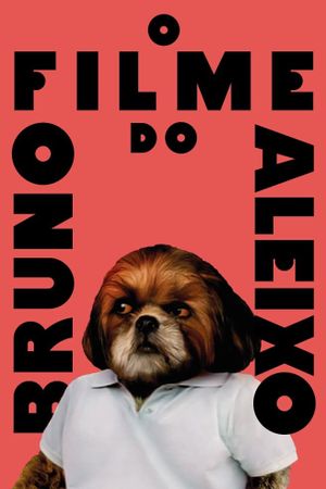 Bruno Aleixo's Film's poster