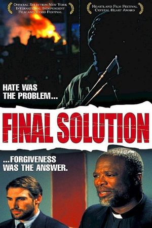 Final Solution's poster