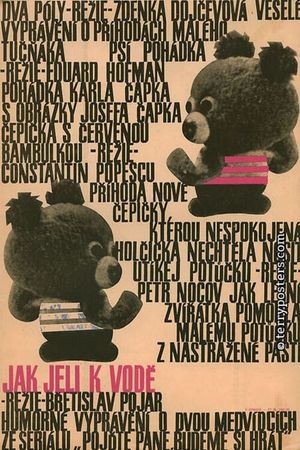 Hey, Mister, Let’s Play! How the Bears Went Swimming's poster