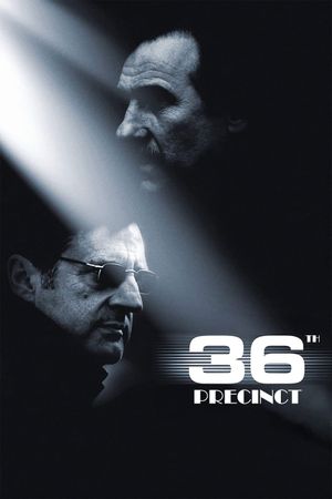 36th Precinct's poster