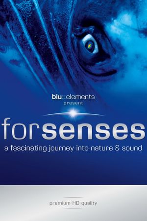 Forsenses: A Fascinating Journey Into Nature & Sound's poster