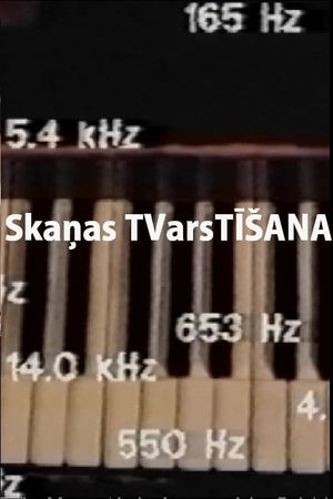 Skaņas TVarsTĪŠANA's poster