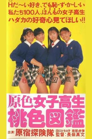 Primary Colour High School Girl Pink Picture Book's poster