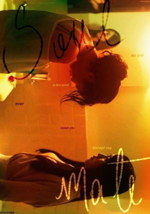 Soulmate's poster