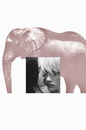 Elephant's poster