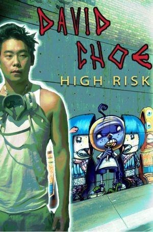 David Choe: High Risk's poster