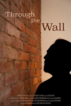 Through the Wall's poster image