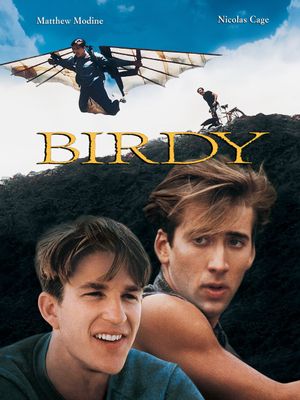 Birdy's poster