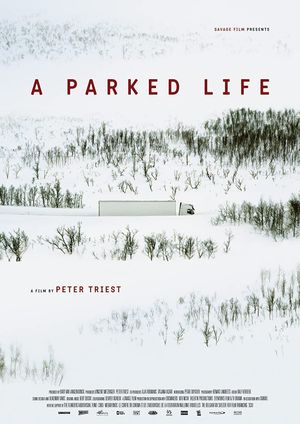 A Parked Life's poster
