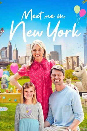 Meet Me in New York's poster