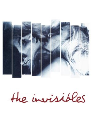 The Invisibles's poster