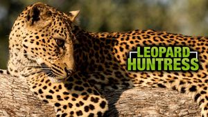 Malika Leopard Huntress's poster