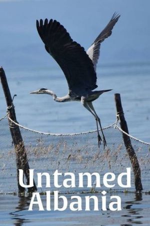 Untamed Albania's poster