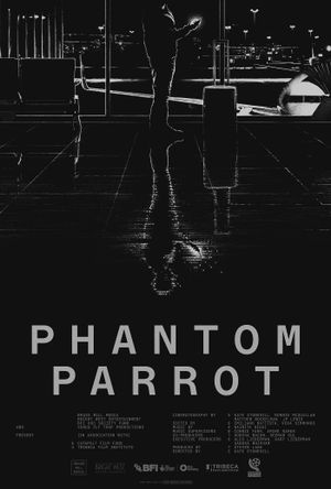 Phantom Parrot's poster