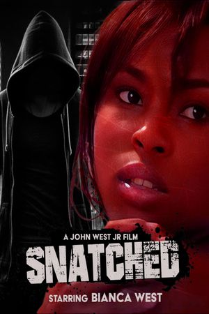 Snatched's poster
